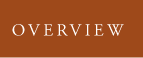 Overview